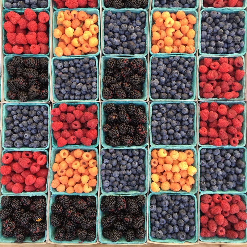 What's Fresh In July