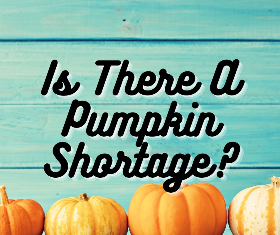 Is There A Pumpkin Shortage?