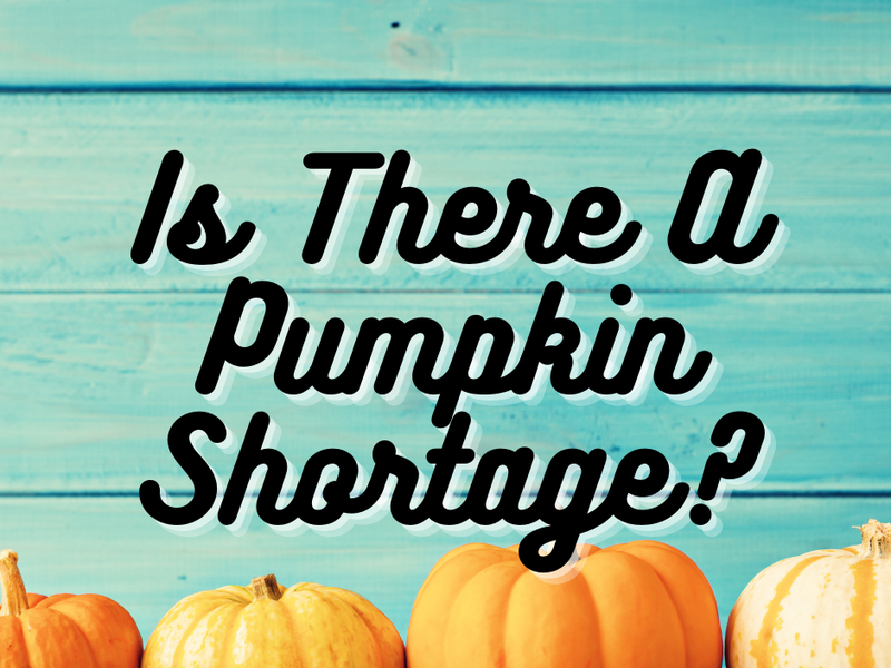 Is There A Pumpkin Shortage?