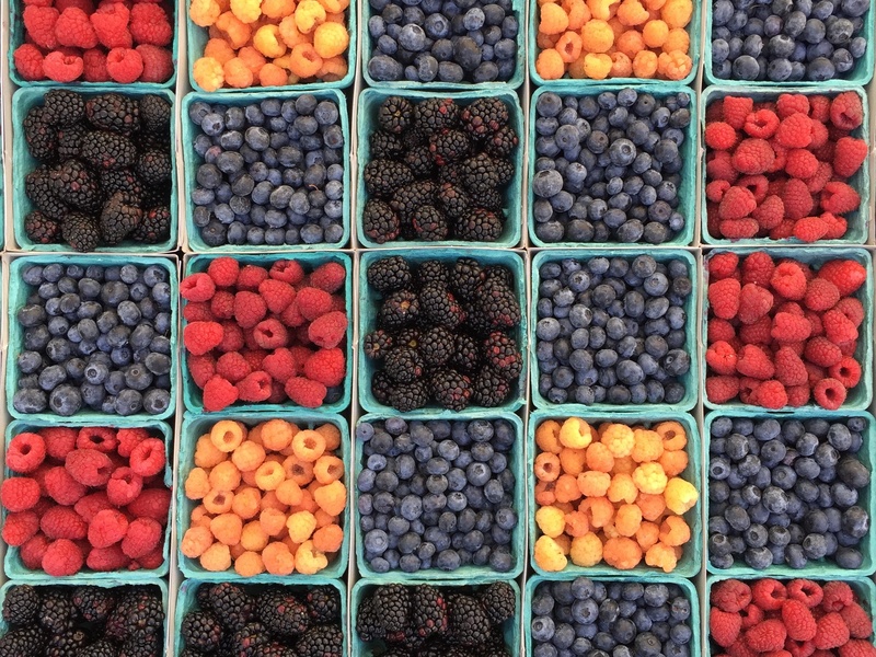 What's Fresh In July